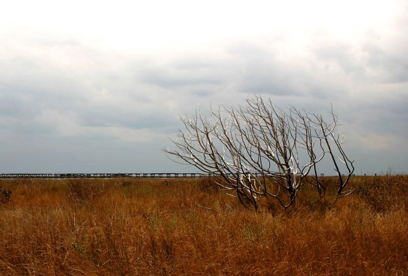 Cloudy Day Photography  How to Get Great Pictures with Overcast Skies