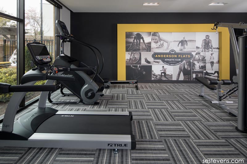 Anderson Flats apartments game fitness room